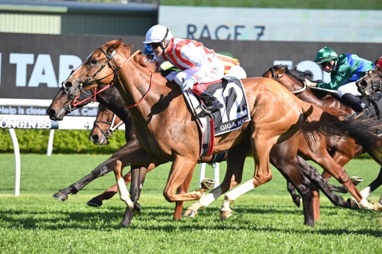 TAB Everest winner Giga Kick on the road to recovery as he looks to reach the heights of the top sprinters again, Kurrinda Bloodstock offers owners the chance to get involved in potential high class sprinters like Giga Kick and one day dream of similar success