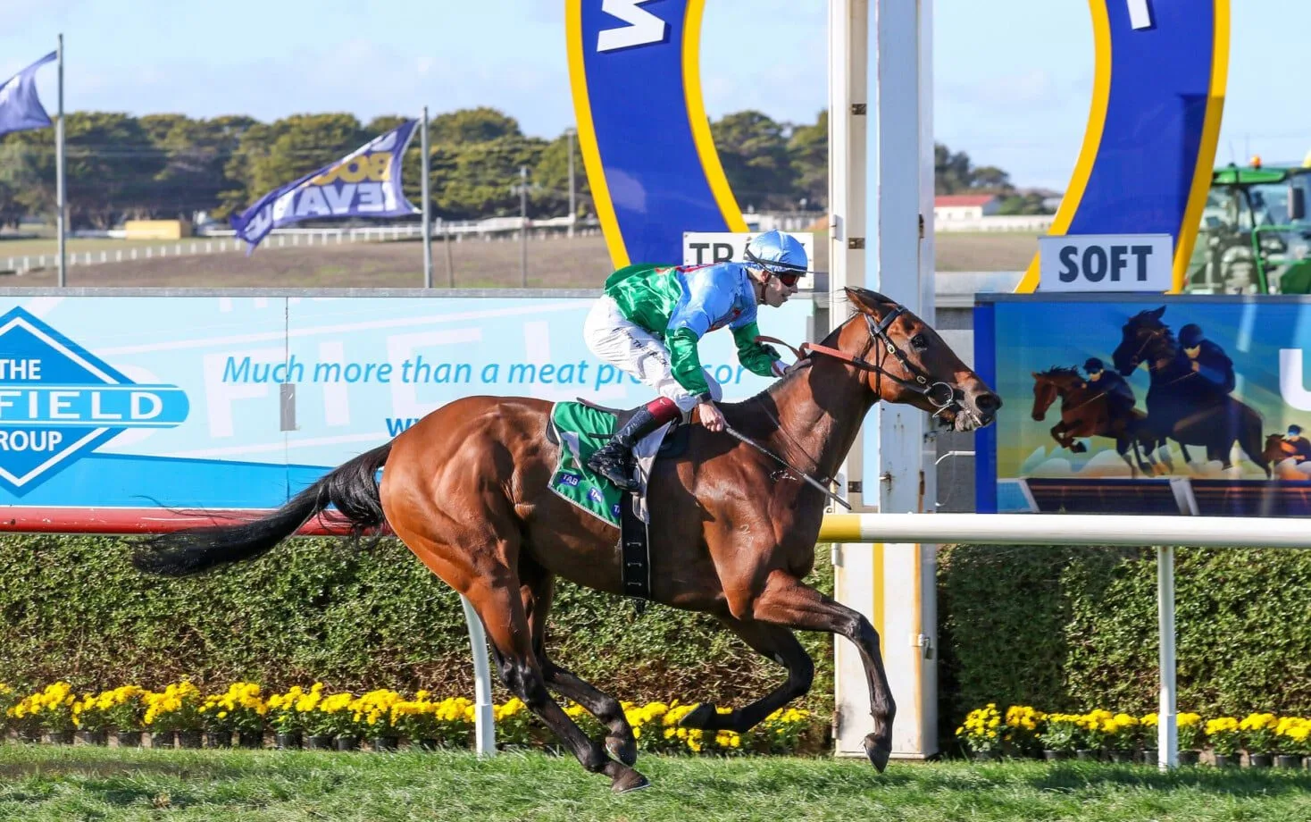 Kurrinda Bloodstock offers the opportunity to have your horse race at all the major racing carnivals like the Scone Cup carnival. offering the chance to race on the biggest stages with your racehorse