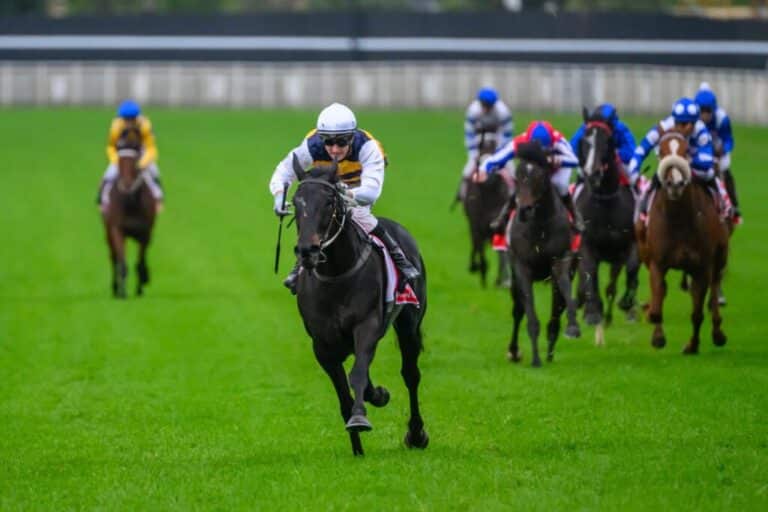 Warmonger wins the Queensland Derby in emphatic style and shows his huge potential for staying races in the spring. Kurrinda Bloodstock offers clients the opportunity to get involved in top class racehorses and one day possibly compete in the top races against the very best horses around on the biggest stage.