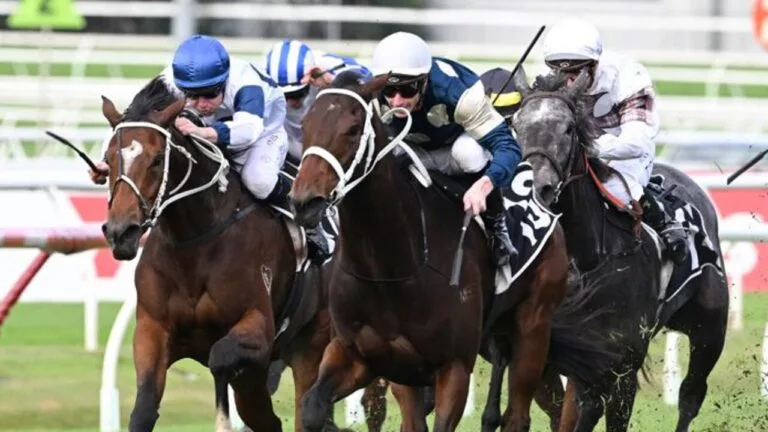 Queensland Oaks has long been one of the pinnacle races of the Brisbane Winter Carnival, a historic Group 1 for fillies and Kurrinda Bloodstock Syndications can make owning a potential runner in races like this a reality