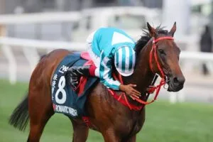 Romantic Warrior Worlds Best Racehorse in 2024?
