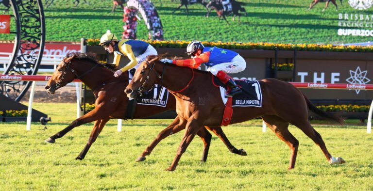 Stefi Magnetica followed in her mums footsteps when giving Jockey Zac Lloyd his maiden Group one victory winning the time honoured Stradbroke Handicap. Kurrinda Bloodstock offers affordable racehorse shares so you can one day dream of owning a Stefi Magnetica