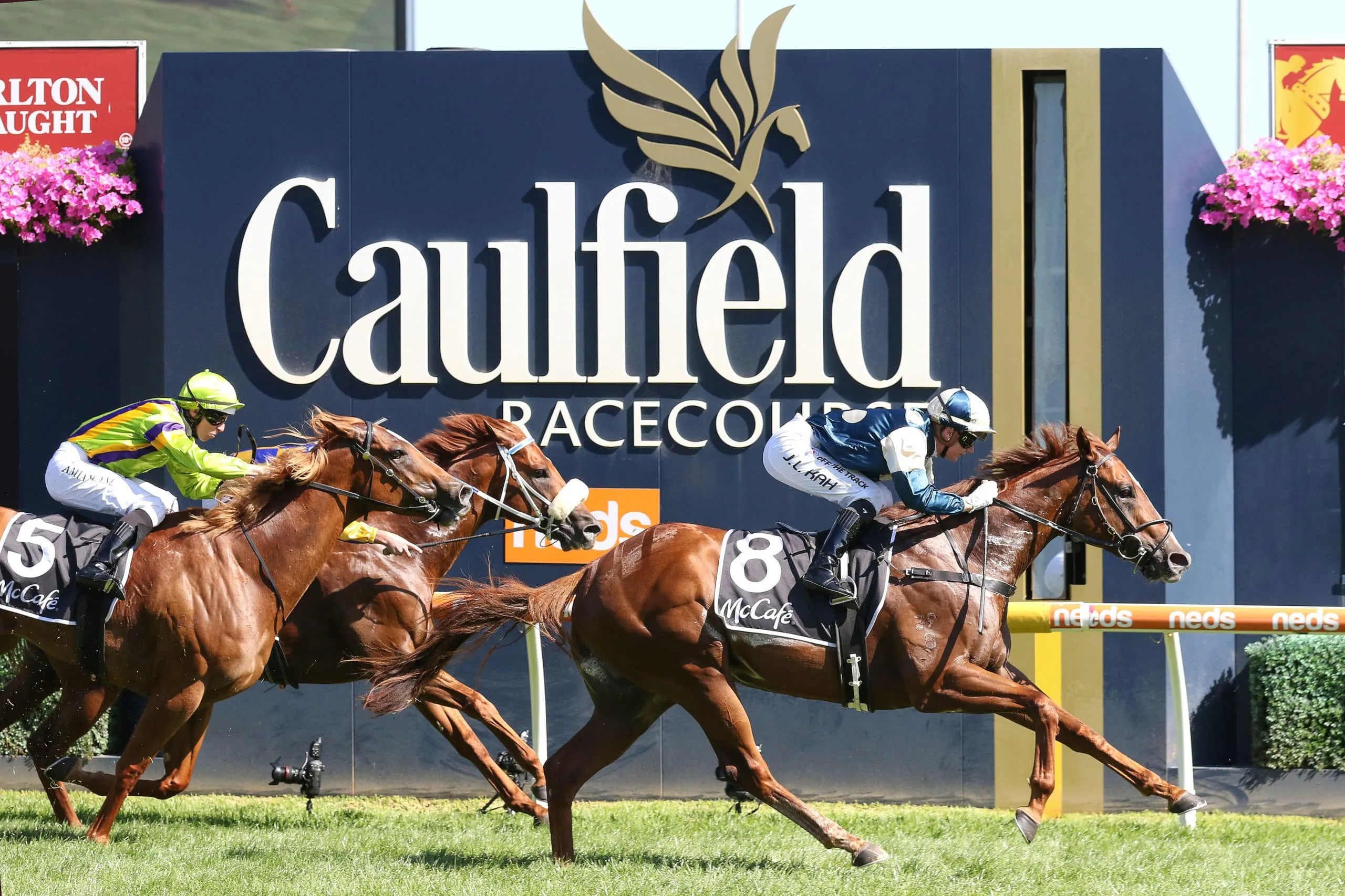 Caulfield Horse Racing is an exciting word in the race horse world with years of history, become part of that history and make your own today through Kurrinda Bloodstock a proven and trusted syndicator offering high quality racehorse shares