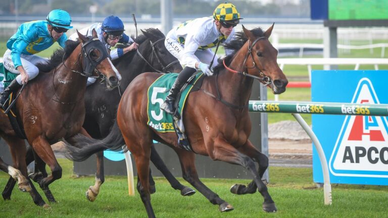 Winx's Sister will make her exciting racecourse debut on the weekend looking to somehow emulate her legendary big sister Winx. Kurrinda Bloodstock a proven and trusted syndicator offers owners the opportunity to get involved in high class fillies with residual value, something they have already achieved great success with both on the racetrack and post racing in the sales ring