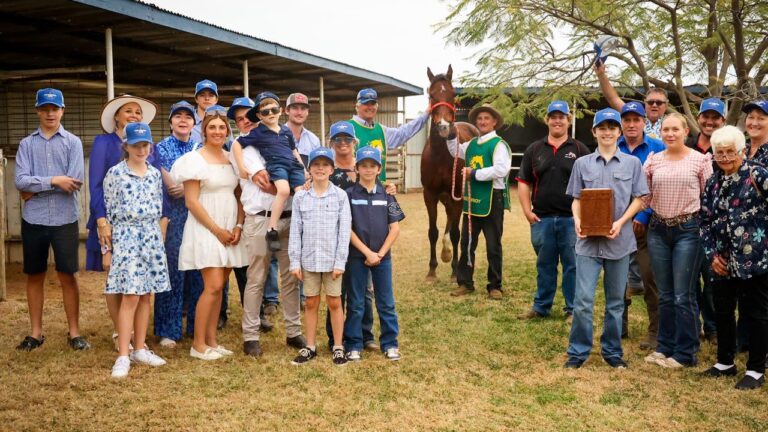 Fab's Cowboy the bush Phar Lap and has captured the attention and hearts of many after his retirement. 159 starts he is an iron horse with 100 placings. Kurrinda Bloodstock offers the opportunity to get involved in racehorse shares at affordable and accessible rates in high quality yearlings, become part of the exciting world of Horse racing today