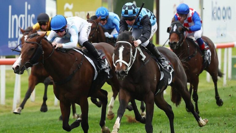 Racehorse Shares - Athletic Yearlings | Kurrinda Bloodstock - Satin Stiletto stakes placing