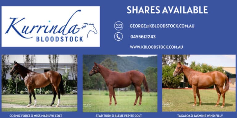 Horse shares for sale with a trusted and proven racehorse syndicator like Kurrinda Bloodstock is a smart move when selecting your syndicator to dive into the world of horse racing. The experience you will have is unrivalled and the results are on the board, get involved today for your racehorse shares
