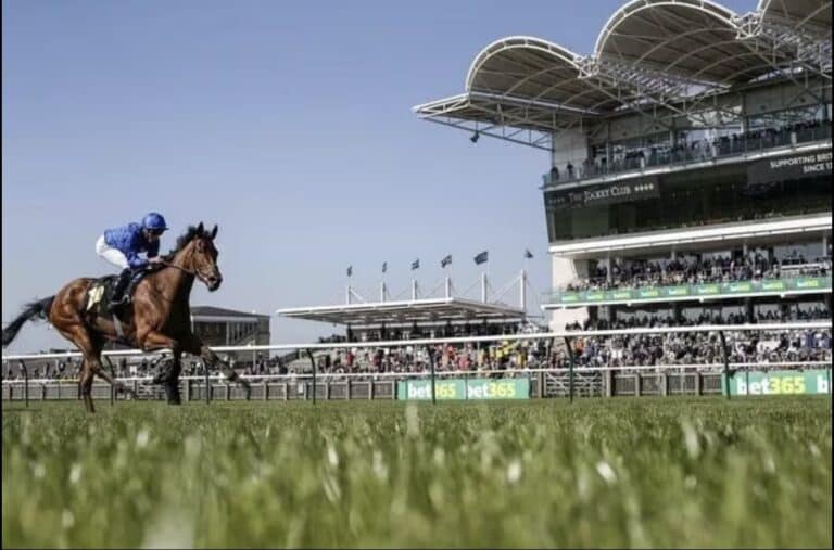 Newmarket dream facility