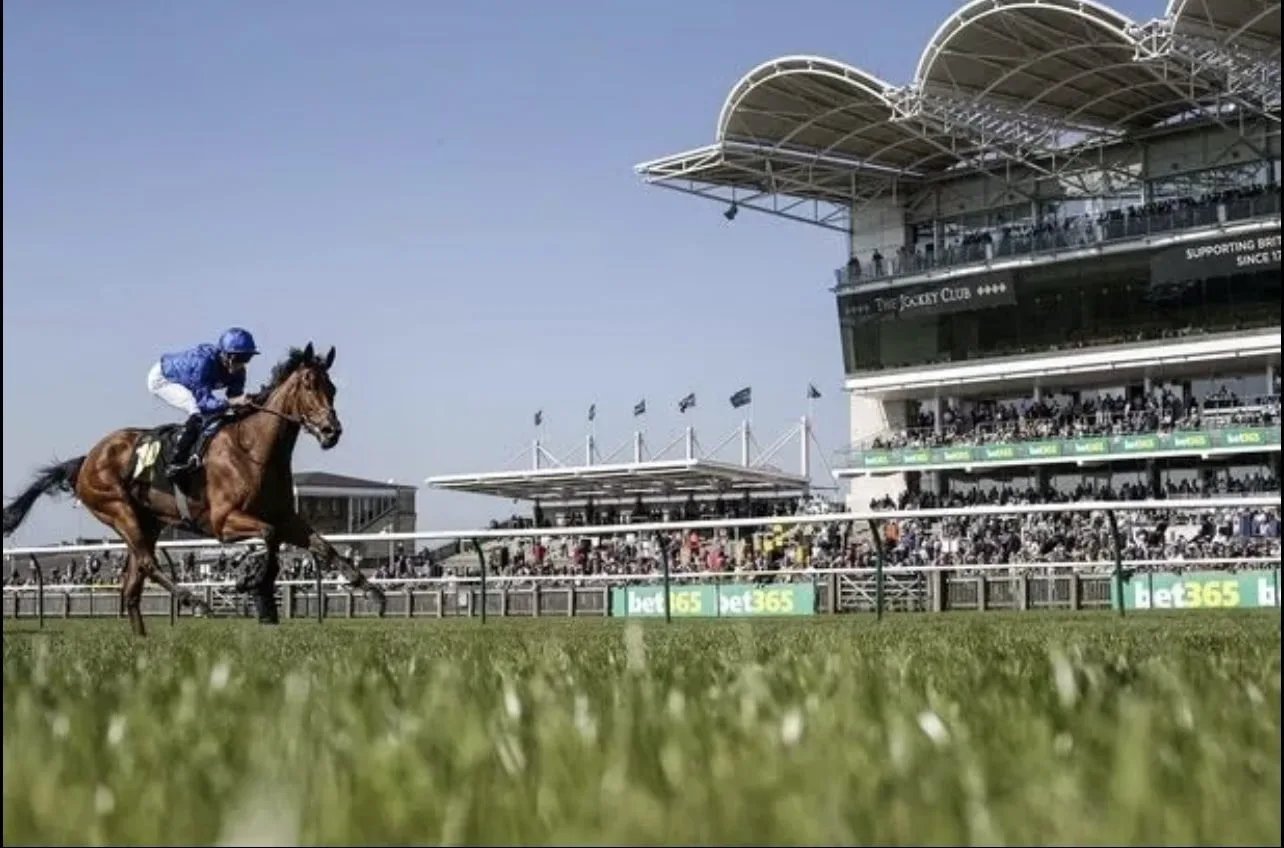 Newmarket dream facility