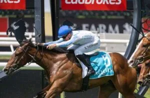 Racehorse for Sale: The Complete Guide to Buying, Selling, and Maximising Opportunity In 2026