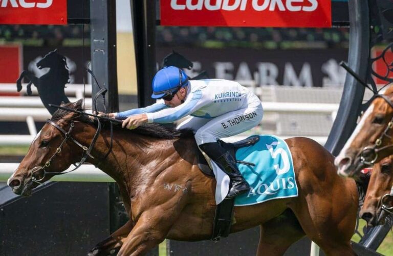 Racehorse ownership. through syndication