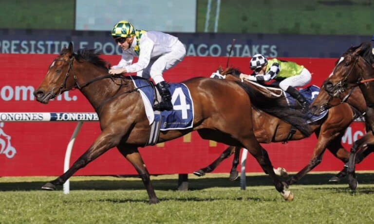 Learn about Kurrinda Bloodstock’s racehorse syndications. We offer affordable ownership opportunities, making thoroughbred racing accessible to passionate enthusiasts.