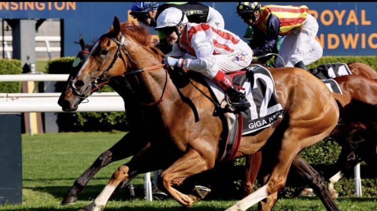 Explore Kurrinda Bloodstock's blogs for the latest news, expert insights, and stories on thoroughbred racing, breeding, and syndication. Stay connected with the racing world! - Giga Kick returns