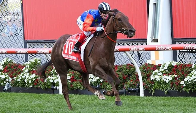 bellanipotinamanikatostakes 660x380rp