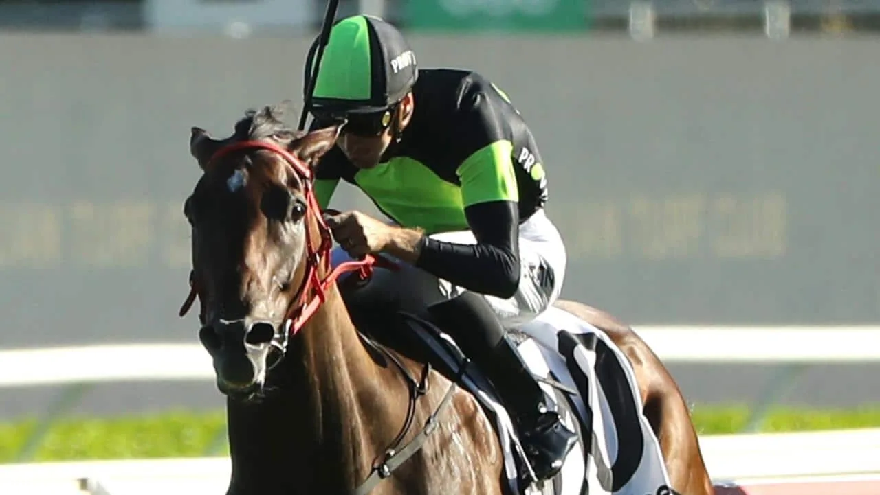 Ownership Experience | Join Kurrinda Bloodstock Syndicates