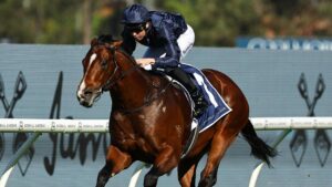 Storm Boy: Boom horse