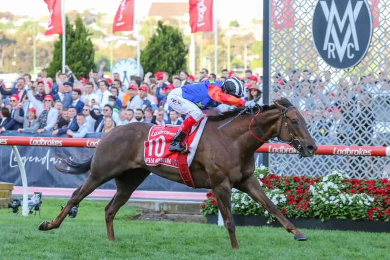 thumbnail Bella NipotinaManikato StakesGroup 1 22 10 2022 WIN Moonee Valley 11 2908.jpg