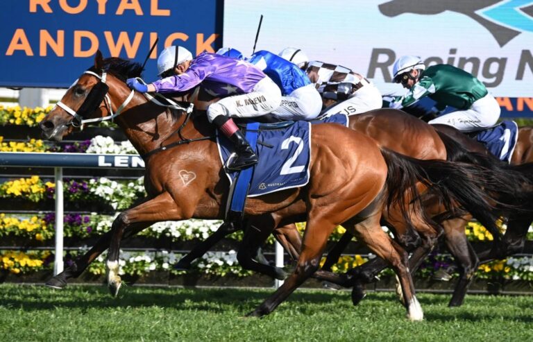 thumbnail Espiona 281023 9341 1558x1000