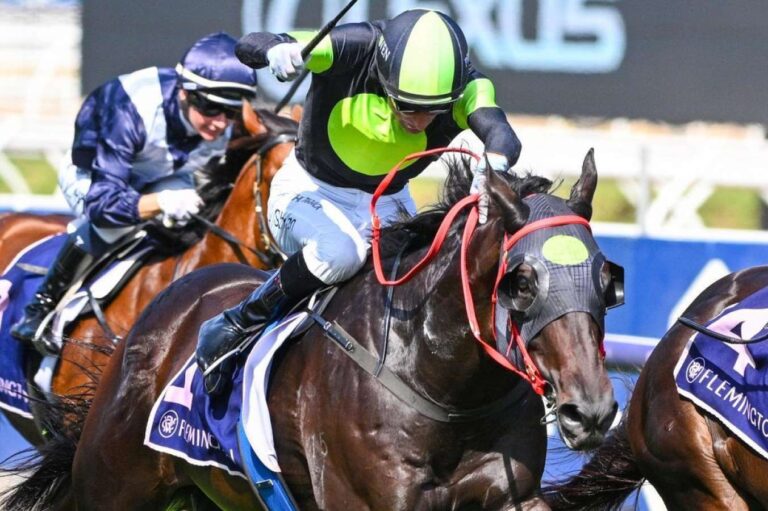 private eye is one of the favourites for the festival stakes. 1732576025 1352x900