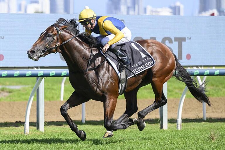 Storm Boy 1705144466