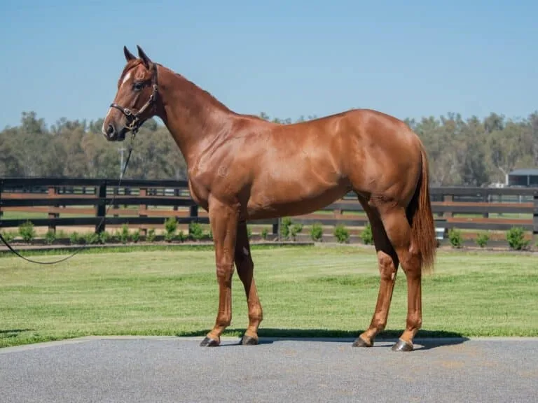 20011892 e1b9e22a 8e40 41fe 844b e6483d68e803