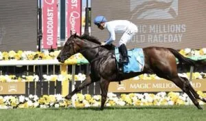 Racehorse Shares for Sale in Australia: The Modern Path to Ownership In 2026 