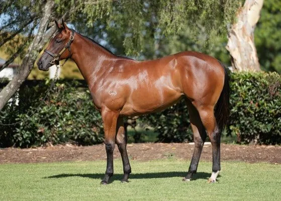 DkFcEIprZlN9HgvAXZILyn8TFOd0fnZGbTxKKmBr thumb