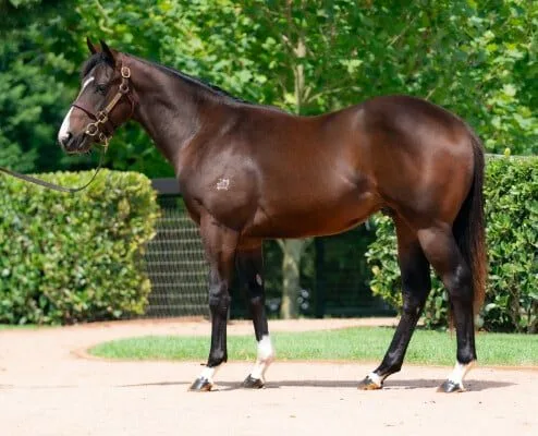 lMV6W068ya1pIKxcqRl3ibPx6BMSNPRB5ZSYrYtr thumb