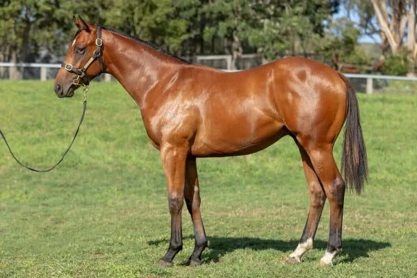 sovtEu1mwAoLBpO4VjeomleaWBa5x7osCPQE82QJ thumb