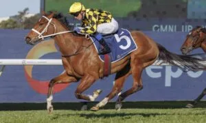 Autumn Glow: A Rising Superstar in the 2025 Racing World