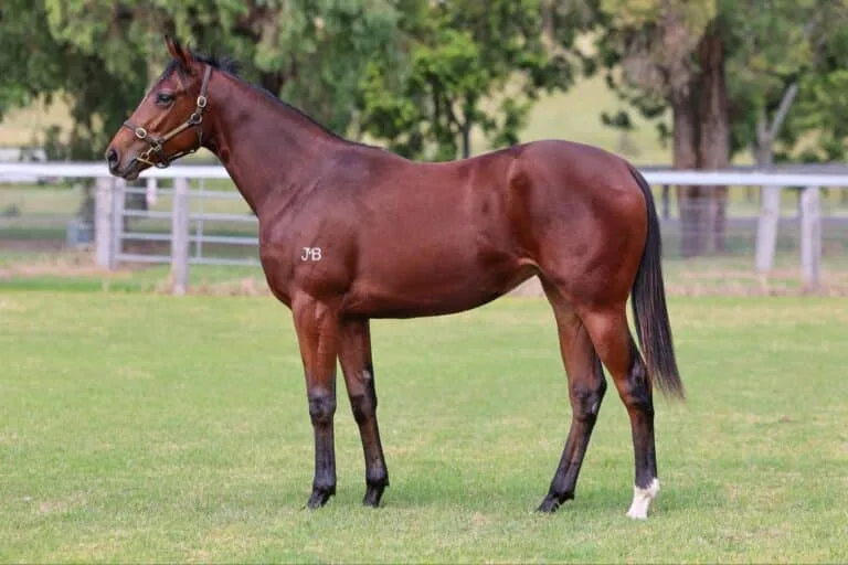 41ab754d 697d 4045 9641 bbe117c01c52