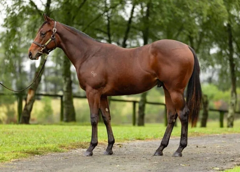 9cbcdf5f e6ff 4277 8457 b51d0c9ebd8c