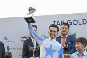 Racehorses for Sale