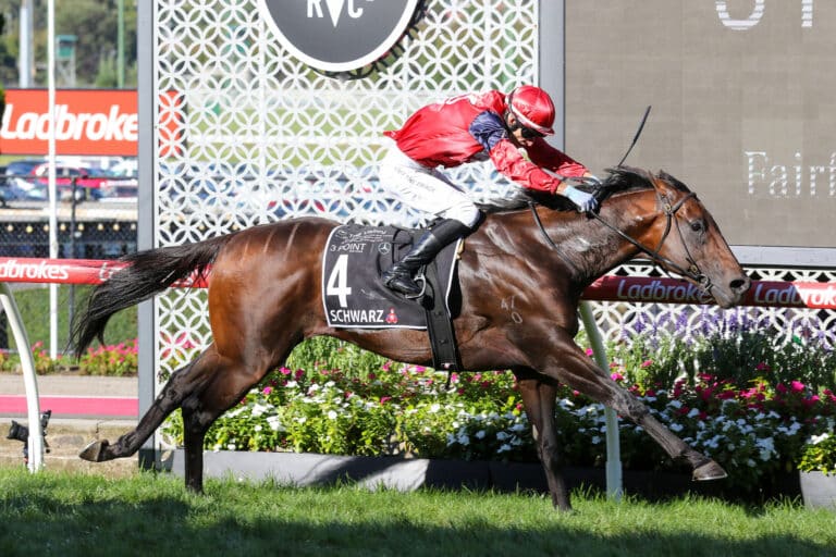 0SCHWARZ9A1428 scaled