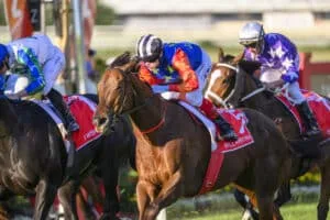 Excited For The Doomben 10,000 Sprint in 2025