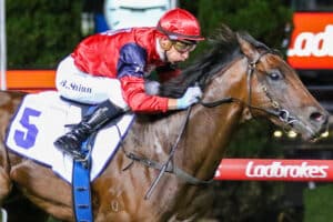 SchwarzAustralia StakesGroup 2 24 01 2025 WIN Moonee Valley 7 1499 scaled