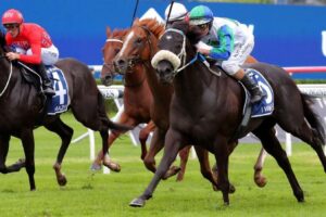 i wish i win is the clear favourite for the doomben 10 000 1715907978 1352x900
