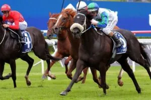 i wish i win is the clear favourite for the doomben 10 000 1715907978 1352x900 i wish i win is the clear favourite for the doomben 10 000 1715907978 1352x900