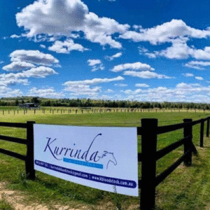 3 Access to our 40-acre spelling farm in the picturesque Hunter Valley