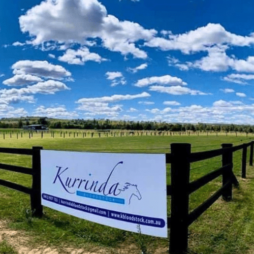Access to our 40-acre spelling farm in the picturesque Hunter Valley