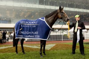 RACE RECORD Snitzel 1600x1067px