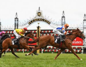 Melbourne cup finish 1 1024x801