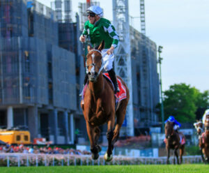 breednet images via sistina cox plate air 23480