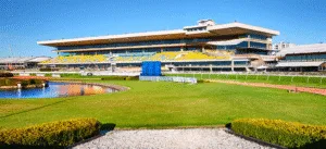 Racehorse Shares: Ownership, Strategy, and the Business of Syndication In 2026
