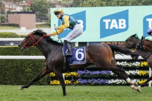 Ceolwulf: From The Stunning Karaka Sale Ring to Group 1 Glory