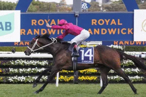 The 2026 Coolmore Classic: A Premier Showcase for Elite Fillies and Mares