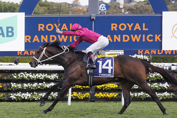 Horse fangirl 195098 750x500.jpg