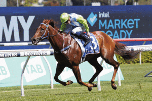 Horse front page 181610 750x500.jpg