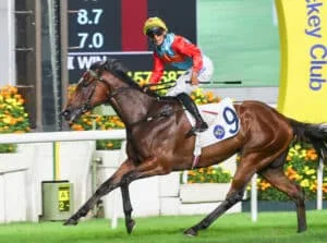 Ka Ying Rising Sensational Everest Tilt 2025 