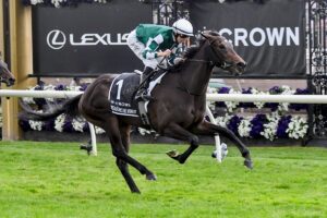 Treasurethe Moment Oaks